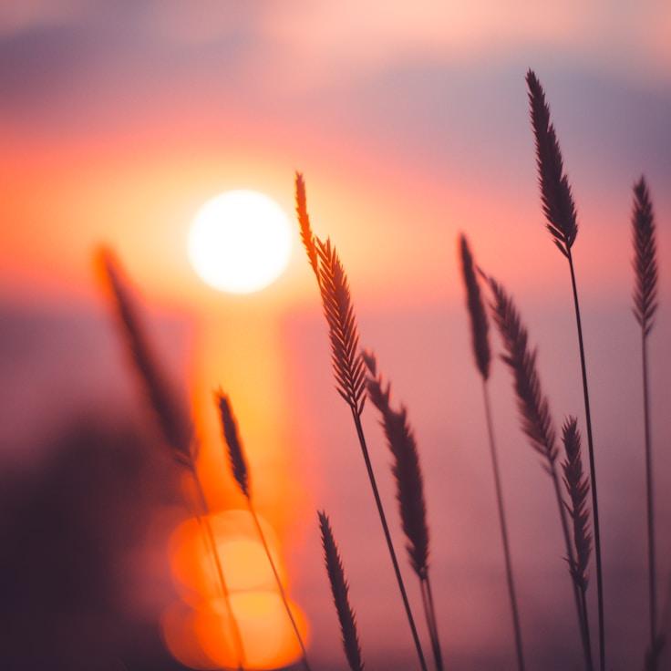 National parks landscape